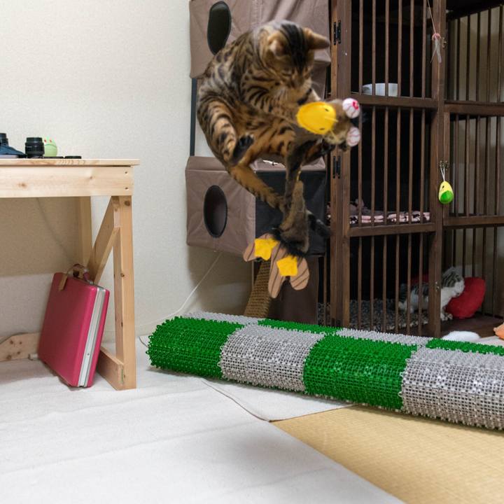 Ba2658c2 a9e9 4592 af89 ebb2dab40127 1518101431418