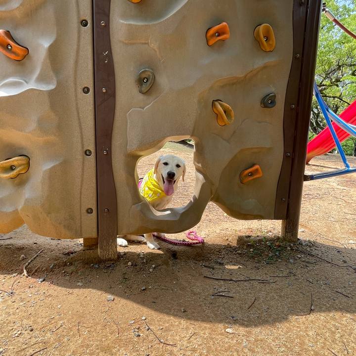 Ba268cbf 270b 4008 906d 8b85f40dccf2 1621941875969