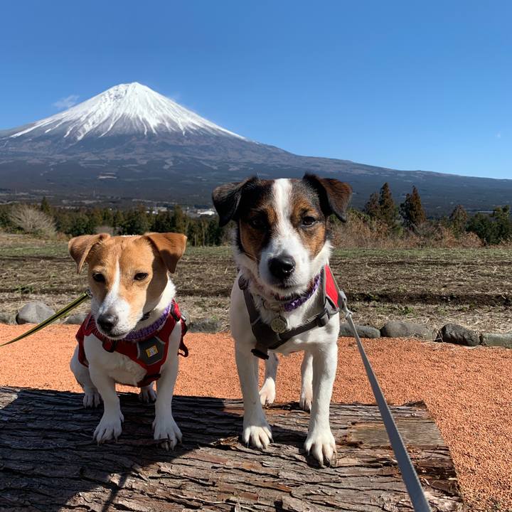 Ba269ec0 be3f 4937 a3d5 16788f8d80f2 1582440793948