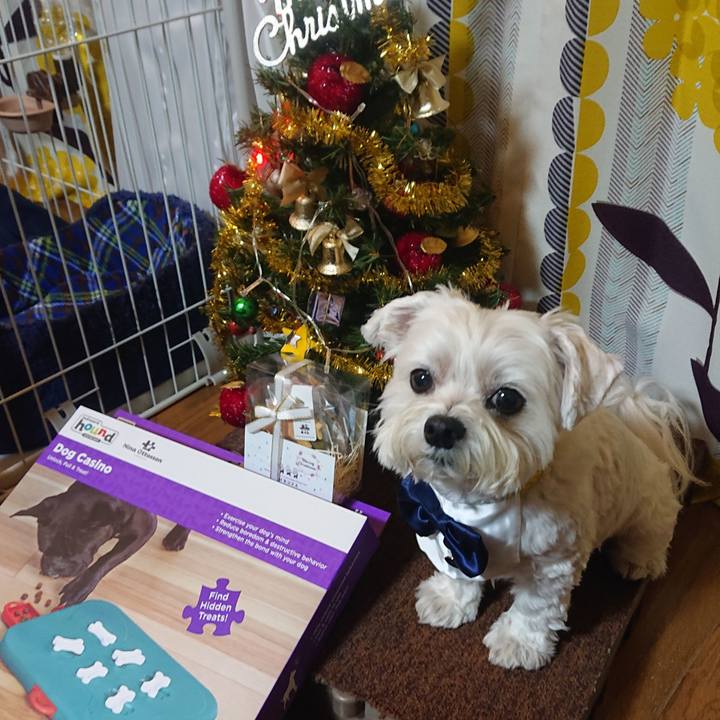 Ba26bb2e ce82 4527 a50f 2b33a3e7ec5e 1608805787580