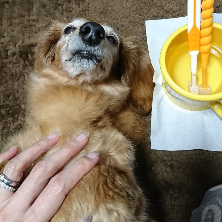 Ba26dd03 4fc7 4764 9862 79e3dbc679ac 1516204561354