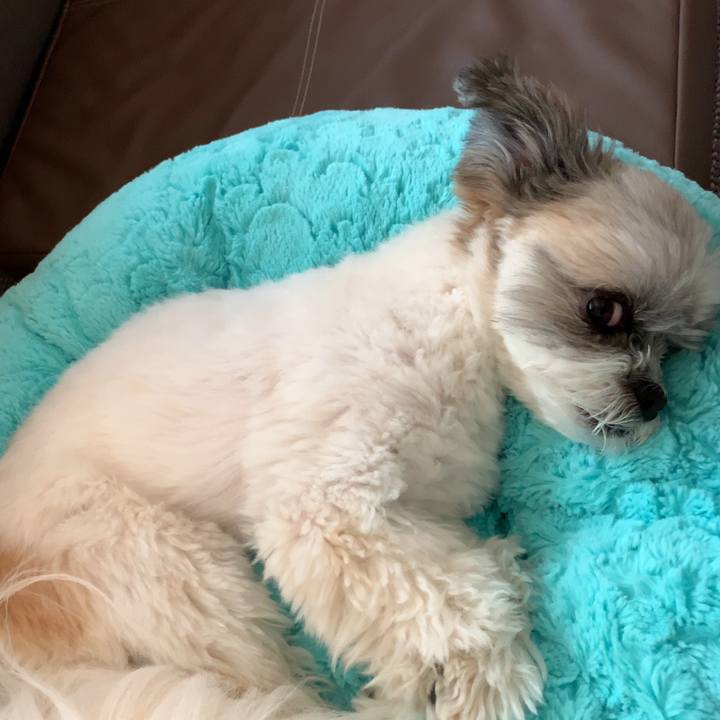 Ba2706af 9463 45ed b217 a0096c41ee51 1562964242547