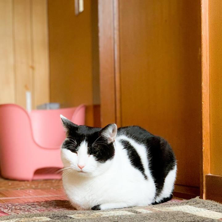 Ba27079c 598d 474d bb33 453a68e1d19d 1588126037317