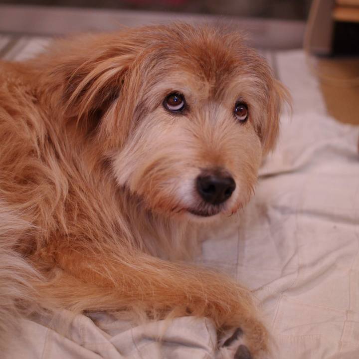 Ba270b5d aa63 4ef4 ae56 7a464b3bbbae 1548140374216