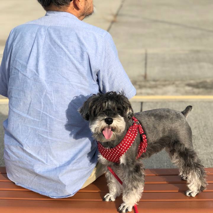 Ba272869 9ef6 46ac 9a1f 966f1d481177 1539335909445