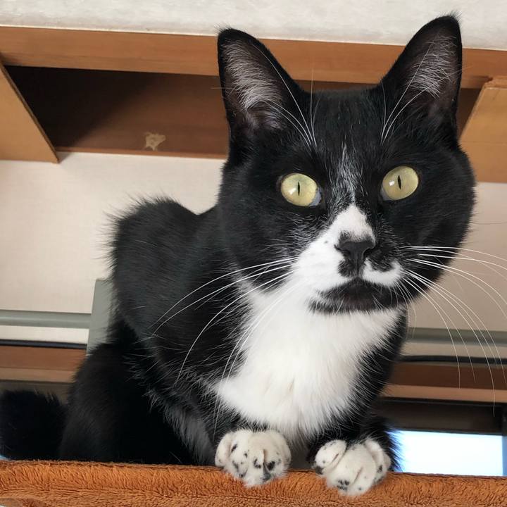 Ba273fa5 53de 4240 b493 7bc60e889994 1639539414276