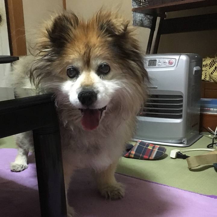 Ba2762af 663a 4e00 81e5 d15c7d378fd1 1584404079002