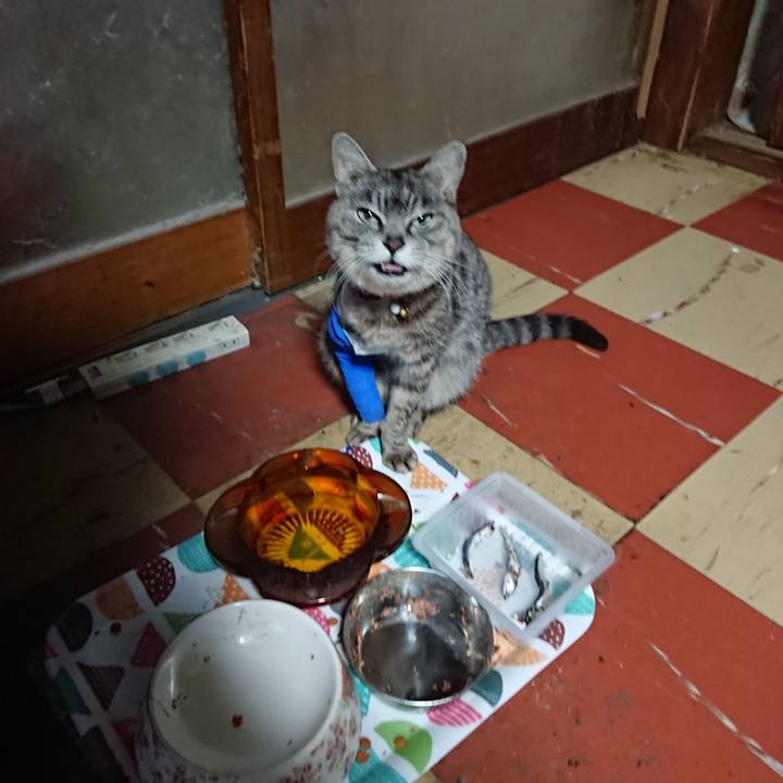 Ba277a91 5190 4db8 a221 d1ae3c043a00 1586982011786