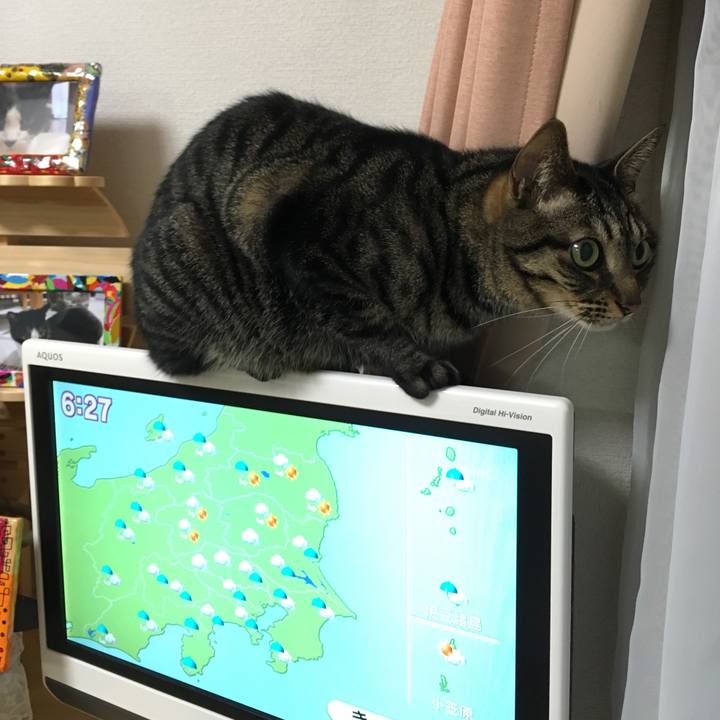 Ba27a0fc cb4d 4b87 b44e 1453a168beb0 1521266248963