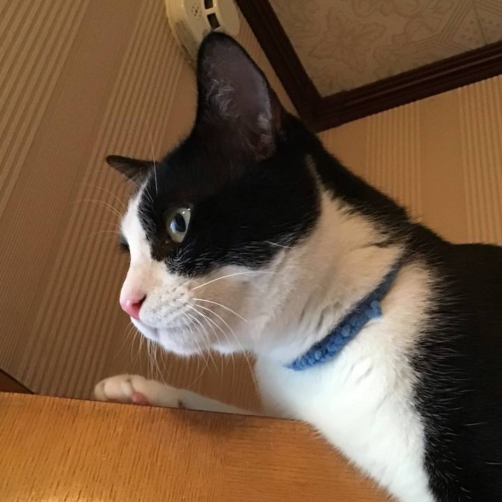 Ba2800ba fedd 44c0 937e e4c7b72c6312 1659168123668