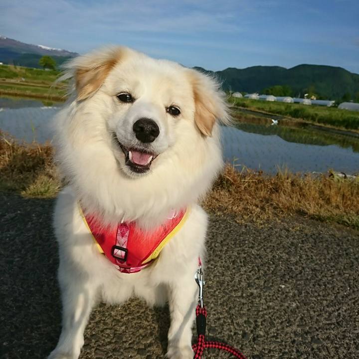 Ba2813d1 f79a 441e 92ea 3ae0a070f20f 1517089954505