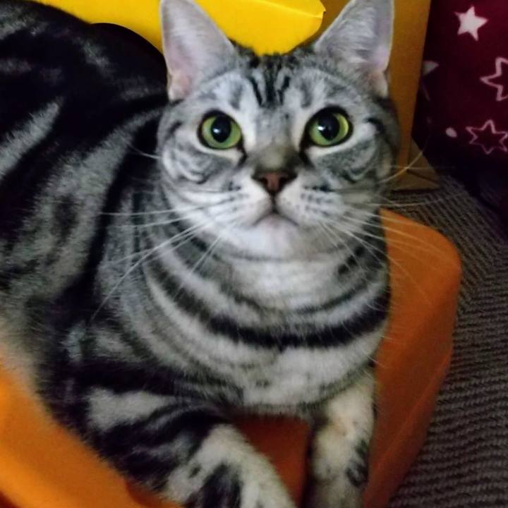 Ba282efe f2d2 4f53 9c78 f87e7fe5847b 1677015961158