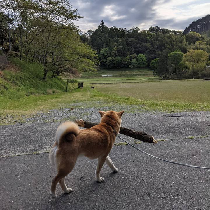 Ba28349f 0037 4c5d 9921 9f6e64491e32 1618182360283