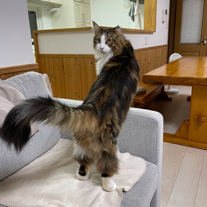 Ba285d08 07fa 428d 8857 0940f1985dc7 1672170824991