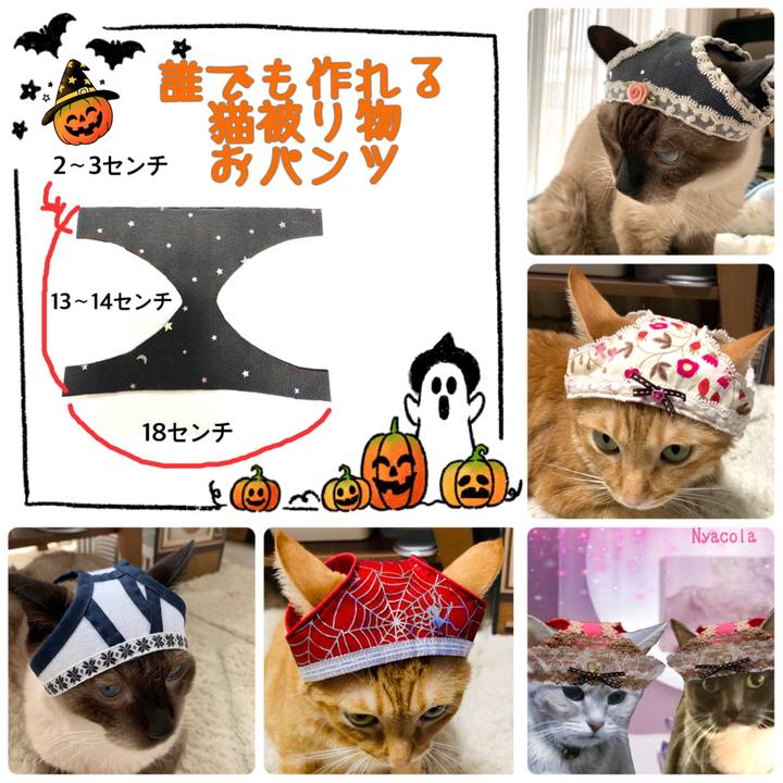 Ba288b19 0e85 4b9e afa2 3b01a2ce881a 1570228776463