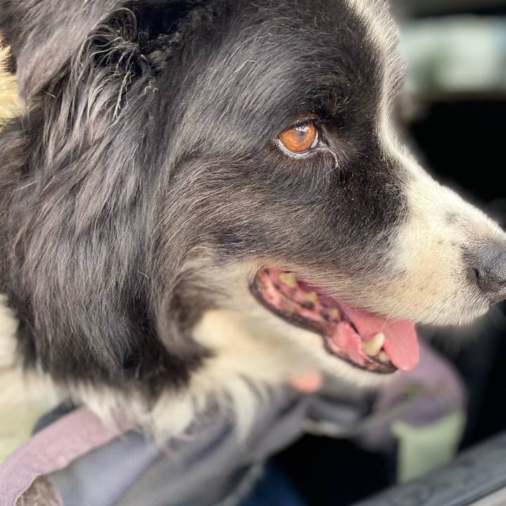 Ba28cf02 11a7 4685 875c 172926961aa6 1660086707302