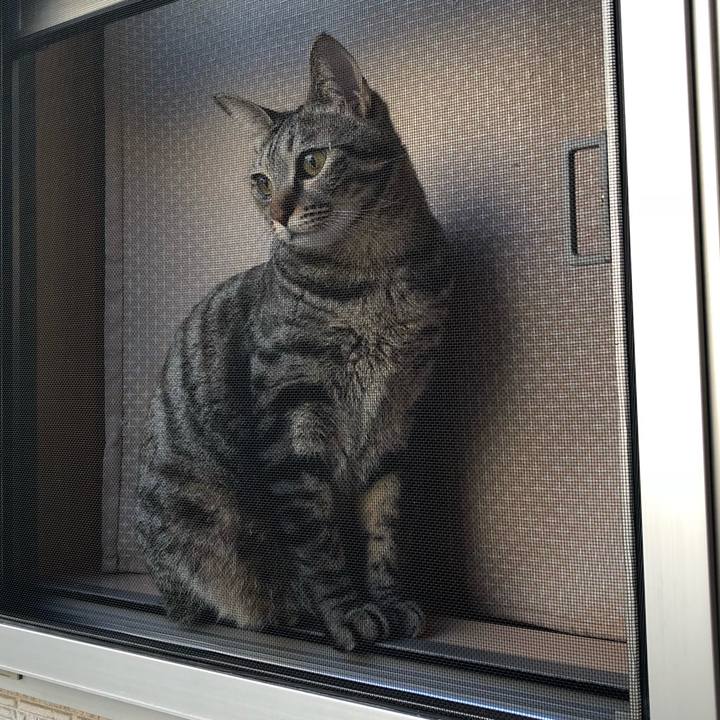 Ba28e48e ce9e 42e7 920a a4287153b78b 1515459444832