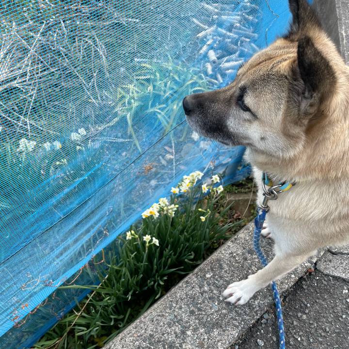 Ba2935dd a424 453d a61b c913174e0b2a 1642334585403