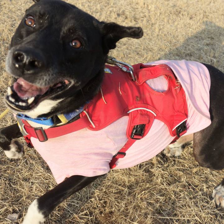 Ba293fc9 1a21 4a8d 9e8a c26d541b45b0 1675817527418