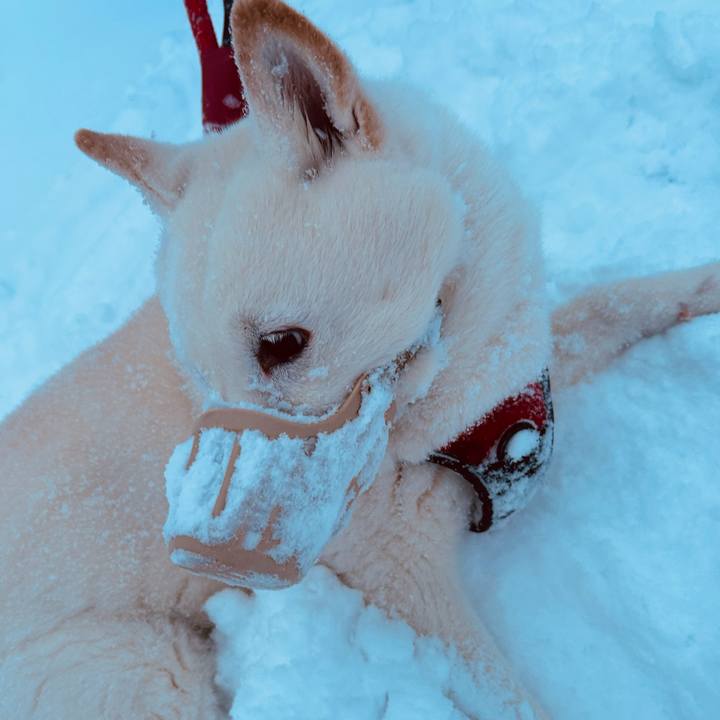 Ba294d93 4a90 40e7 a052 cbd9210eef02 1768174170817