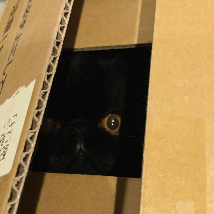 Ba297917 8af4 4269 8691 57525d14eb52 1522243752123