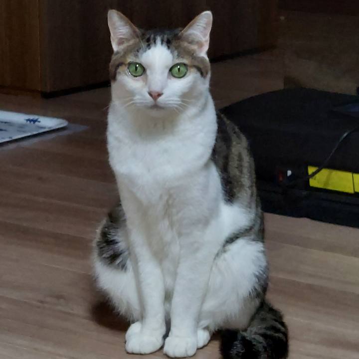 Ba299946 8110 4fb6 9811 86912a4a66ad 1719484778333