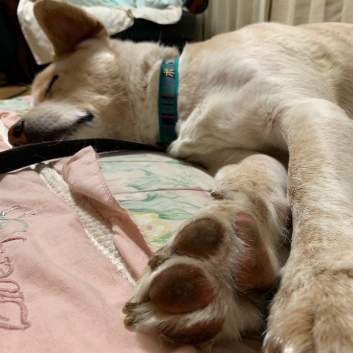 Ba29da57 ffe6 4ef3 9f1c 60b71315bb0b 1556807698646