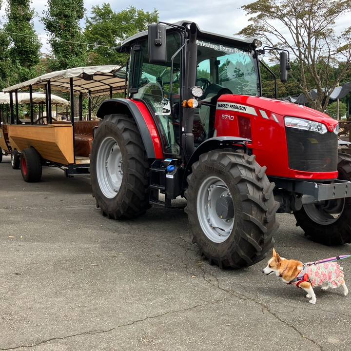 Ba2a237a 895e 4868 b768 061ad9f5ea46 1760328397597