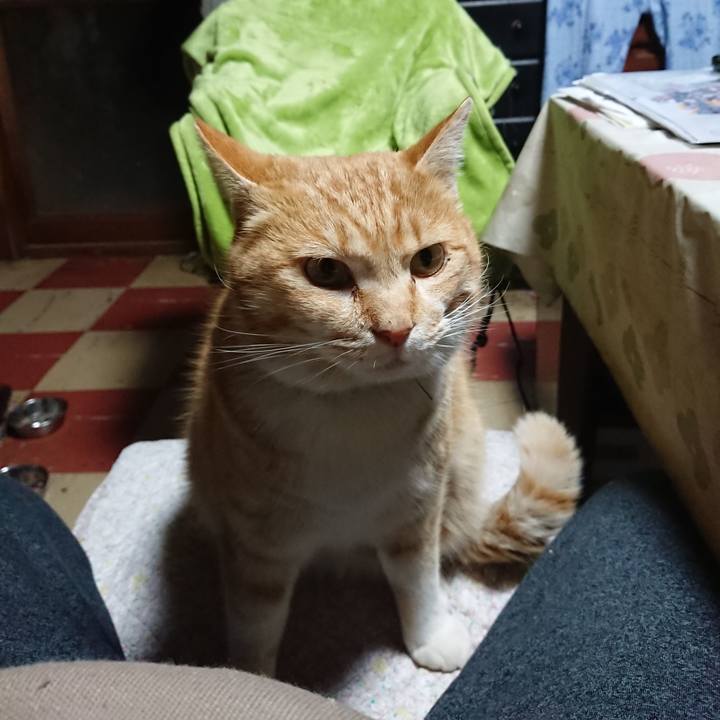 Ba2a569d 4c05 444b 8b64 c94e48ac6810 1582229256105