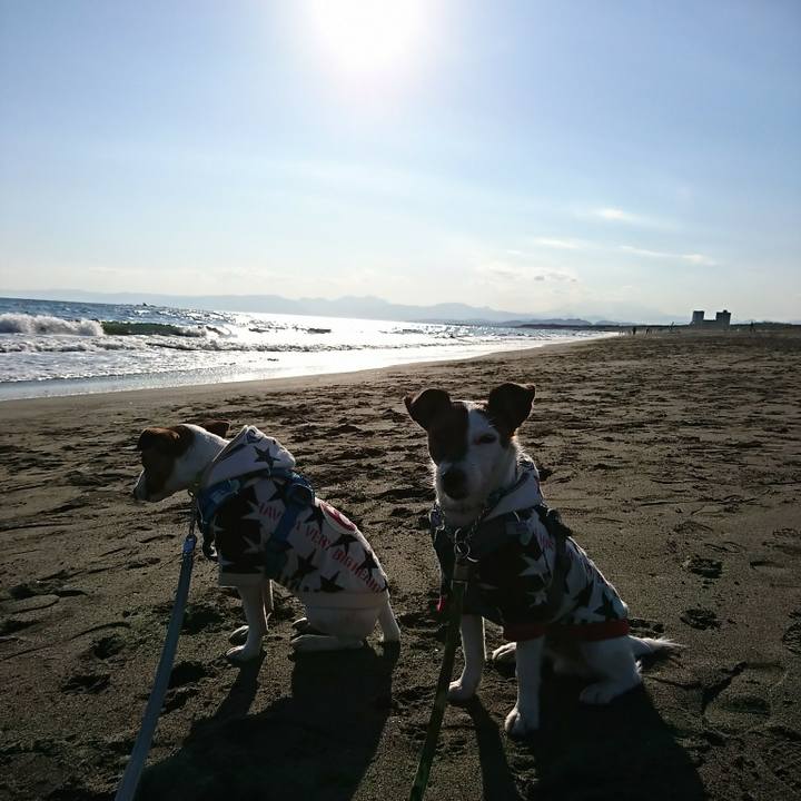 Ba2a5757 0846 46a6 b430 6e9bd47928f5 1553413098025