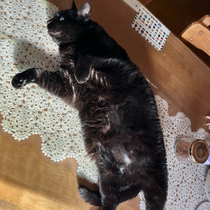 Ba2a58da e463 447f 9b0d 92656d640b7f 1774392557899