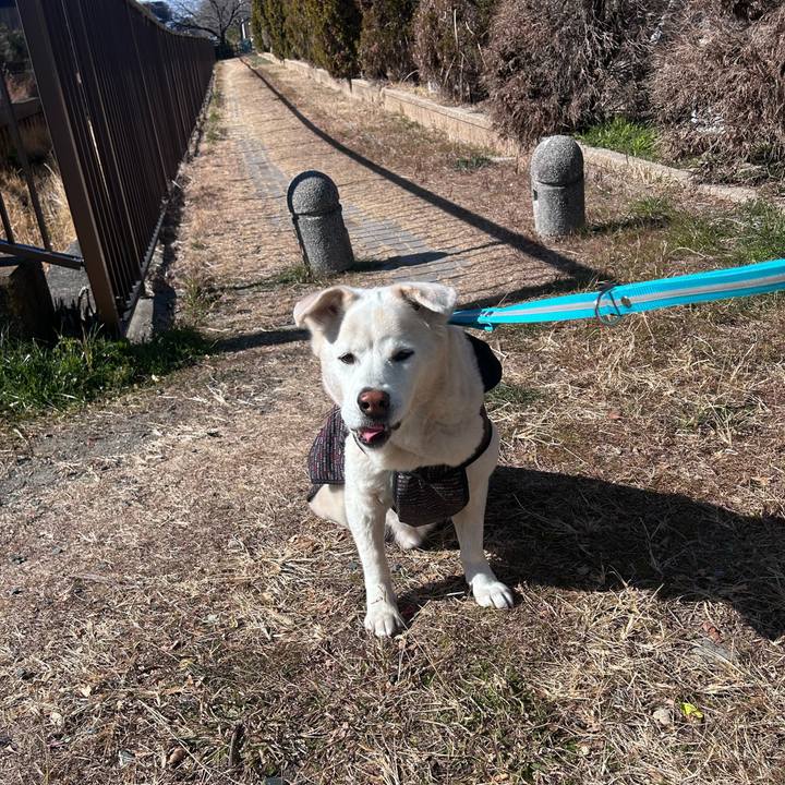 Ba2a7d6d 1855 431d 8b36 953dde7c9c42 1769999584443