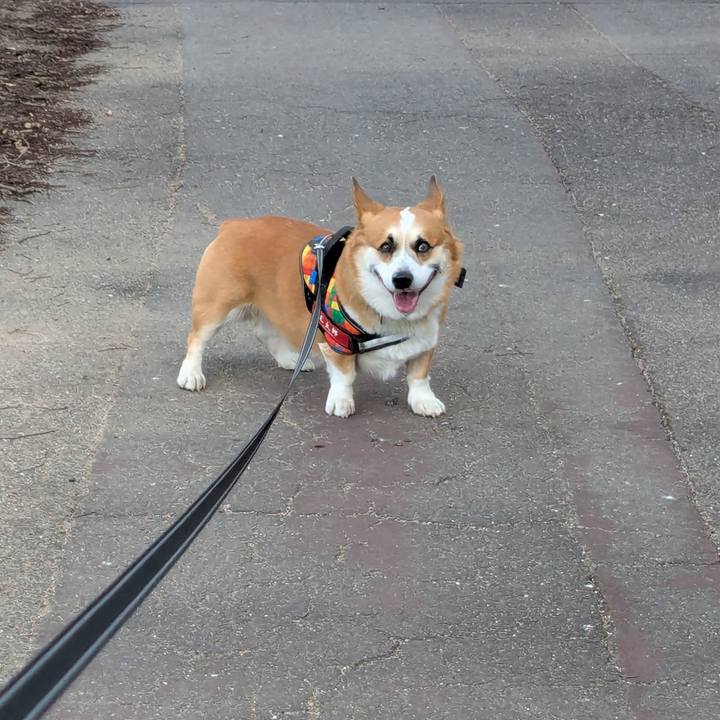 Ba2a9318 efb8 4f66 a27a f7896b772a8d 1739242828735