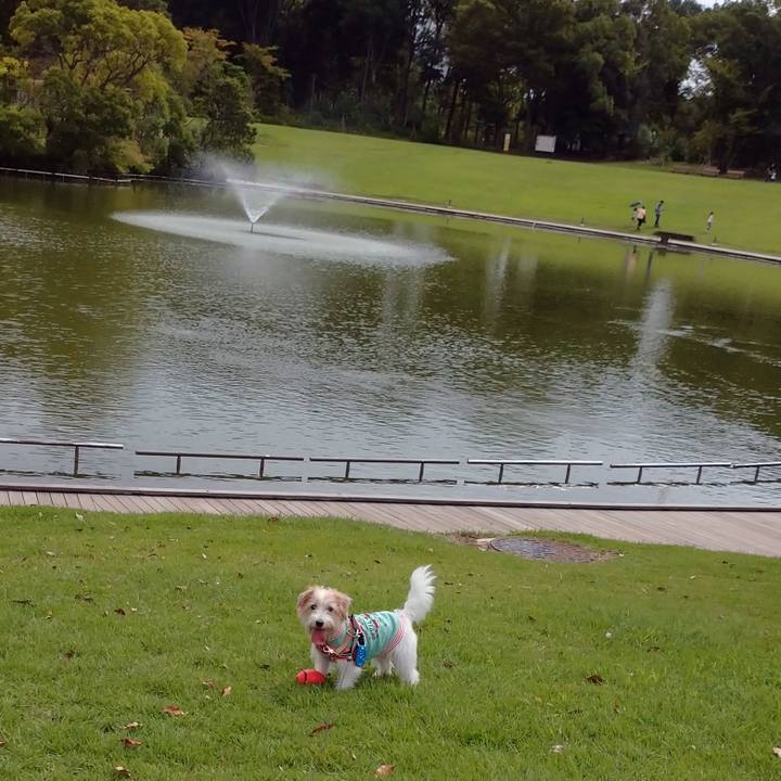 Ba2abf8d 67a8 4387 be69 3aed4998d69b 1757909876795