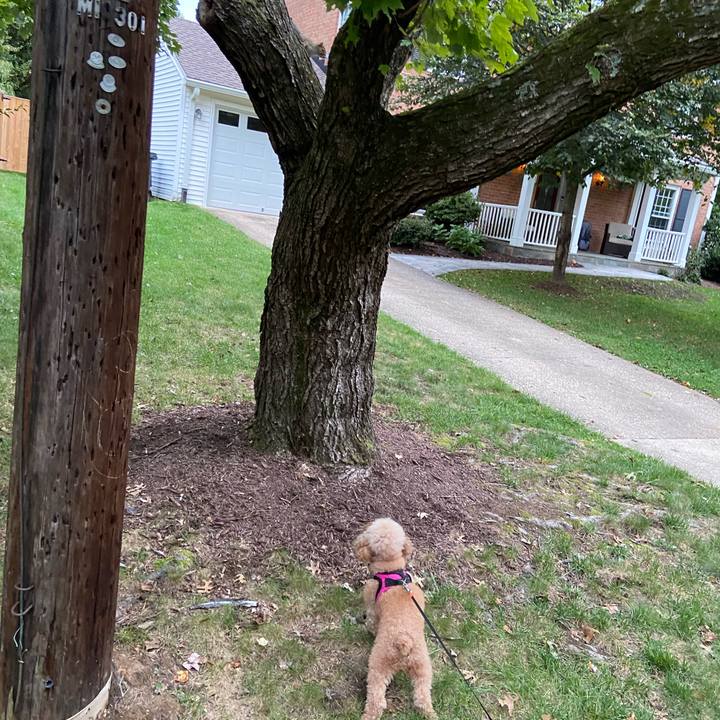 Ba2ac27a b369 477b b1bd 6710c2fd47ce 1665190675302