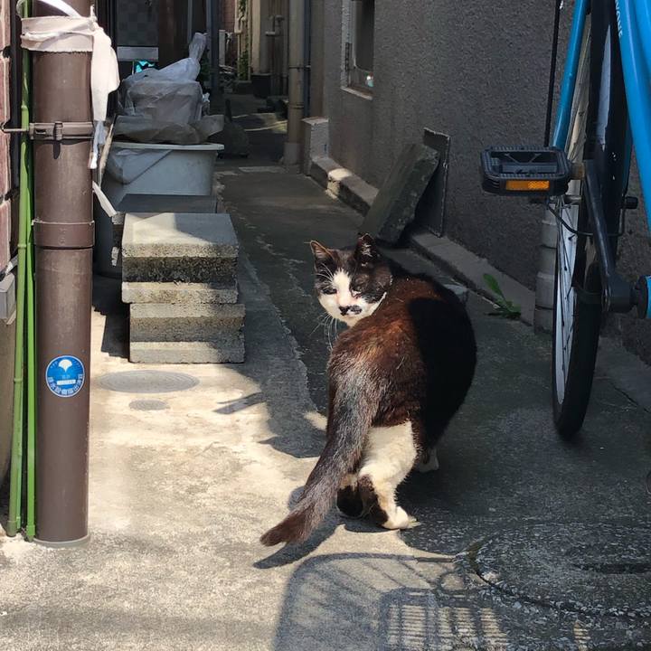 Ba2afa2a 9740 4f62 a904 3362c8af78f3 1560603018960