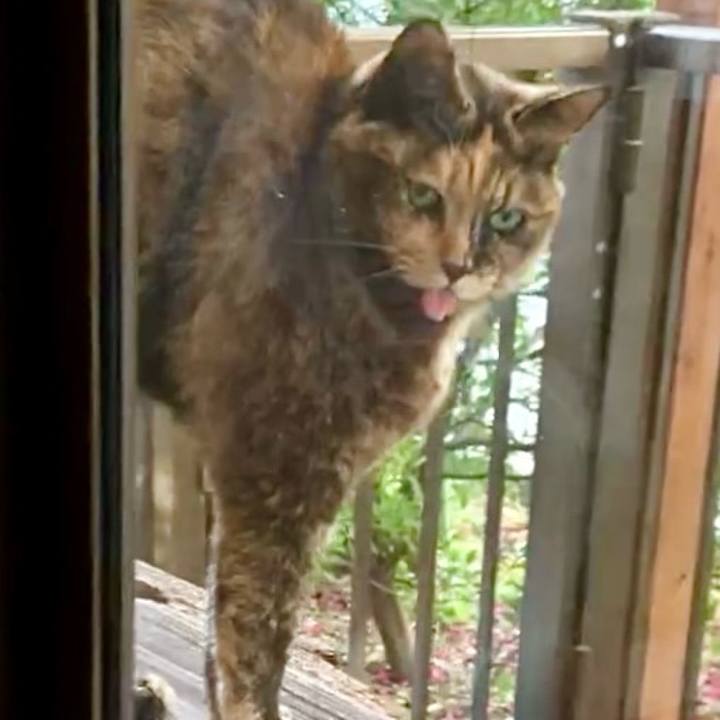 Ba2b1642 b519 48a8 ae6f 7465aa9649e9 1741167139997