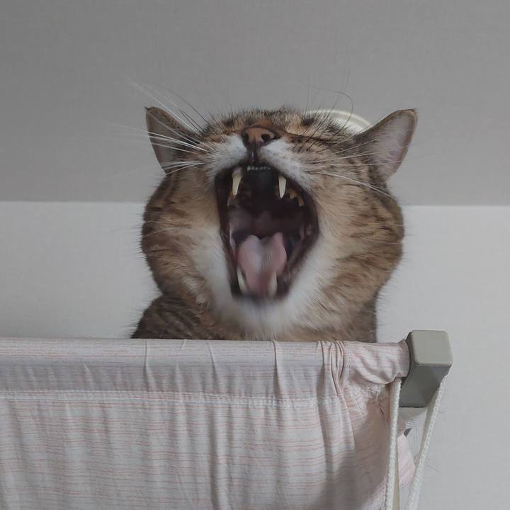 Ba2b27c8 8021 433b 86ad 7ac95a2fc5c8 1694564937238