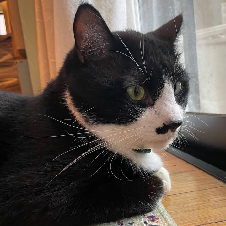 Ba2b470a 8bb2 47c4 b663 b1e430951d17 1728879997539