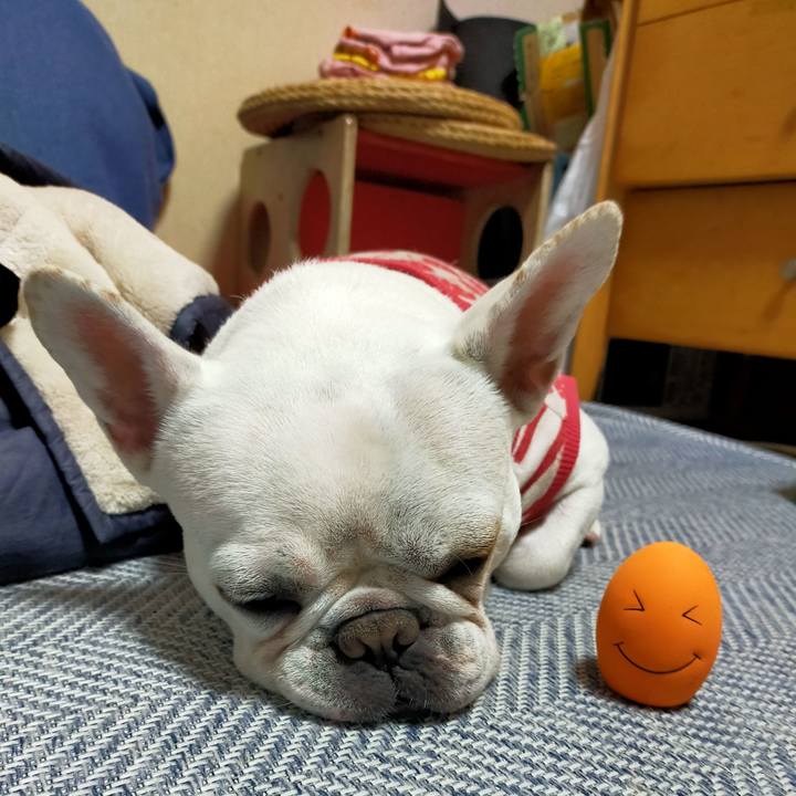 Ba2b53fa 05ce 42f1 8089 2807f3dd1af5 1671268627293