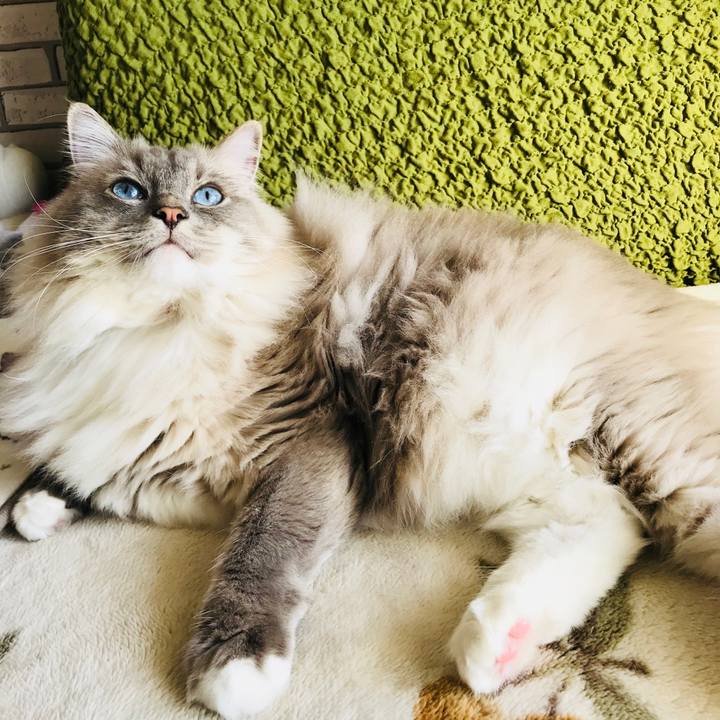 Ba2b58b7 8f18 4c87 bfbf 40b8a9526743 1515838829420