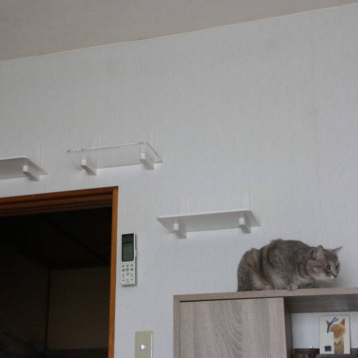 Ba2b8513 e3da 424a ae73 f2374bb3931a 1537140561115