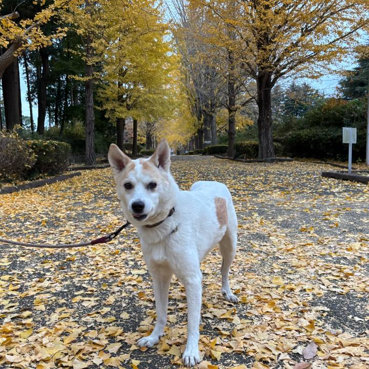 Ba2b912a 25a3 472d 8d5b ca842293bea4 1764067031614