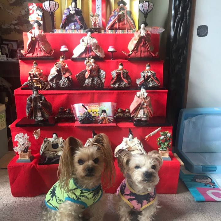 Ba2bb83f 616f 4c8a bd3f 30b00e9f0225 1551590530649