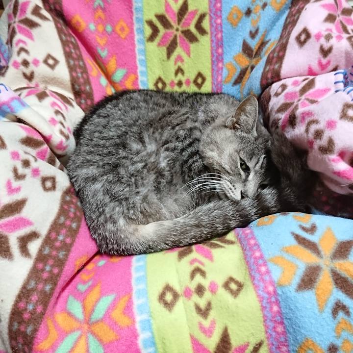 Ba2bd954 7f97 4edd 82a7 ae432d497b0e 1584440613771