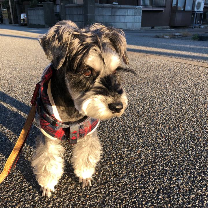 Ba2be226 6633 4f01 94f8 f055baefea2e 1667173948683