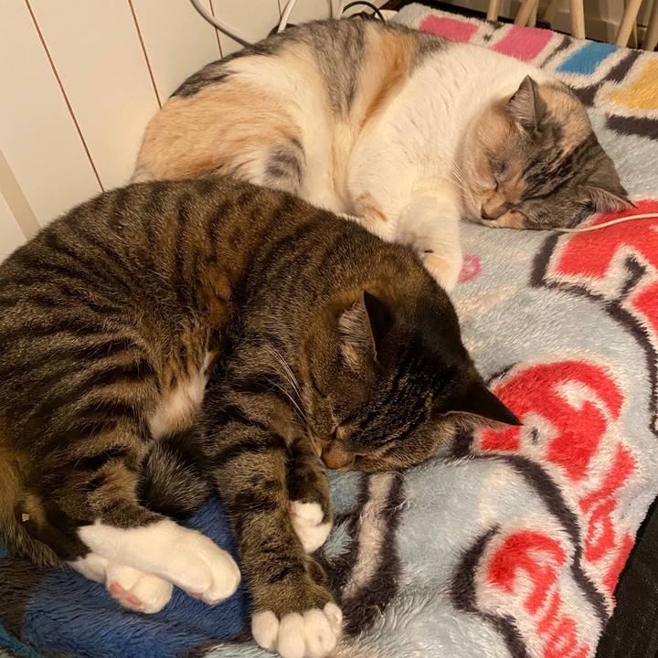 Ba2bf67e 634e 483b 878f affb19377c95 1578623731091