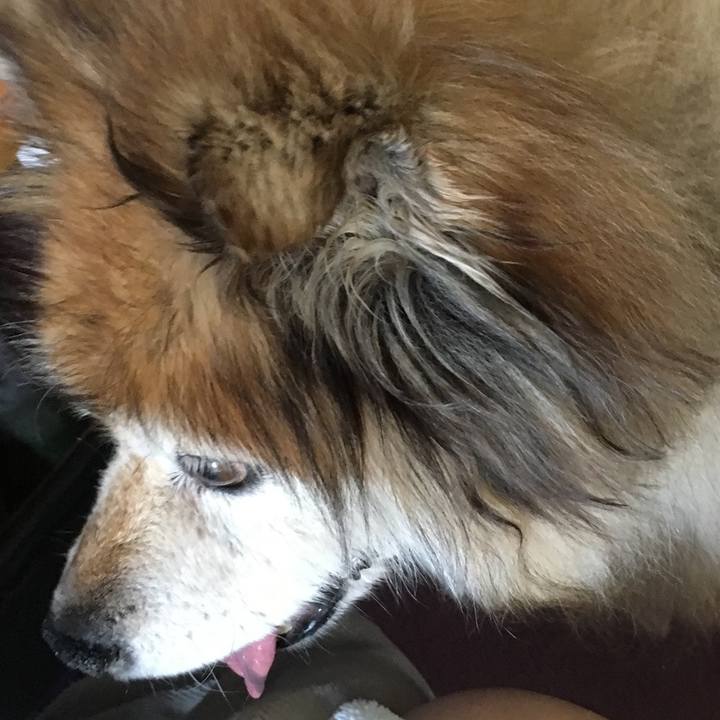 Ba2bf966 1080 4fb5 931e e3ed7e6ece29 1605757954718