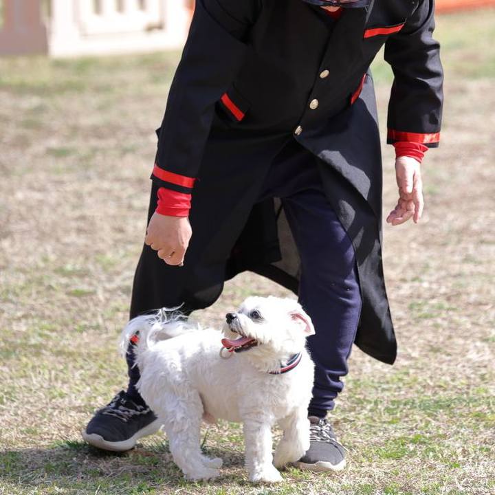 Ba2c38fe 5d79 4b8b 8558 2e8ee935f569 1714557804139