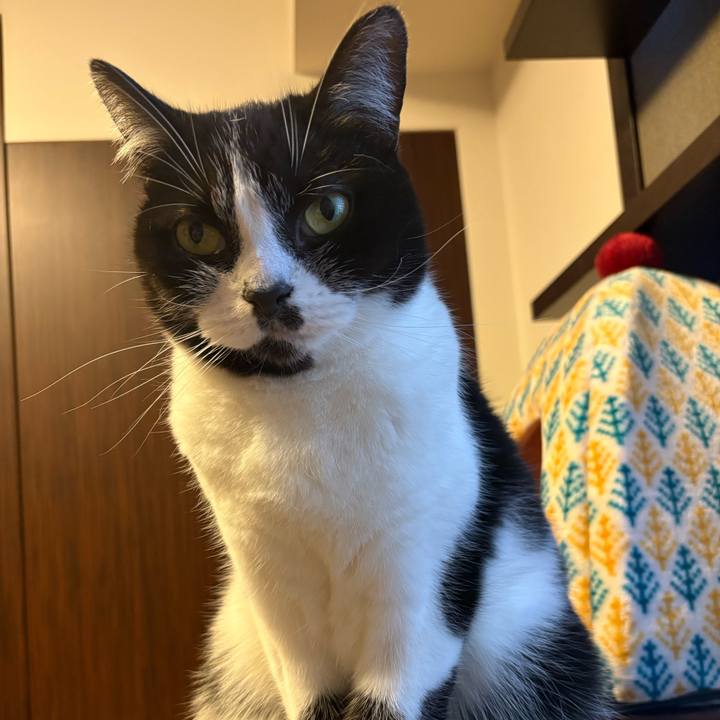 Ba2c5dd5 3e5a 4f55 ad85 abd2f8a6fe34 1770124132082